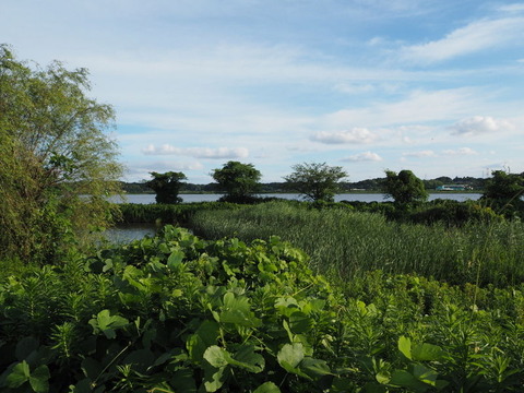 P7230953