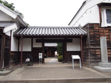 P7150448