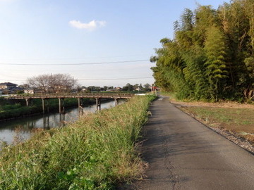 DSC00683