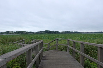 DSC04106
