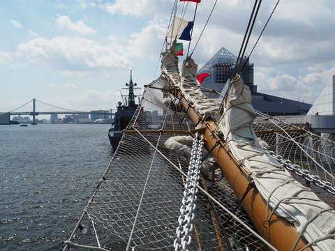 P9103221