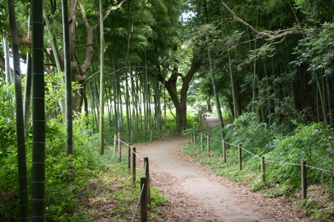 DSC03787