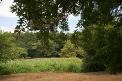DSC03712