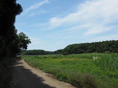 P6032653