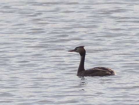 P7230939_s