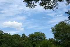 DSC03786