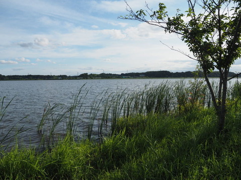 P7230951