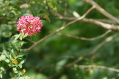 DSC03777