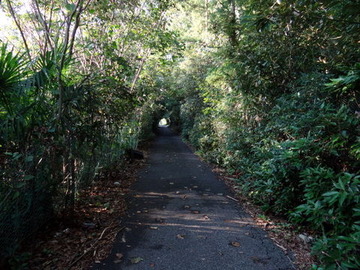 DSC00681