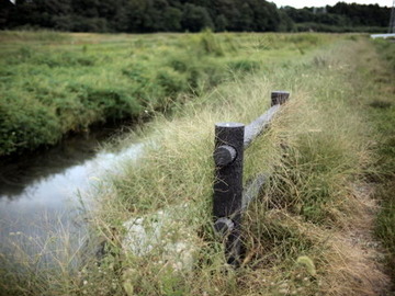 P9293311