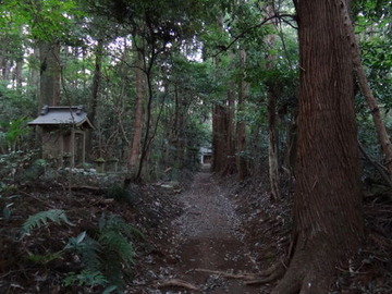 DSC00602