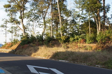 DSC04718