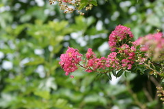 DSC03765