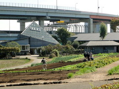 DSC02990