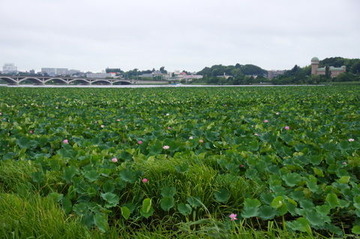 DSC04142