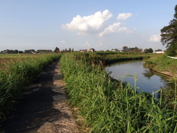 DSC00676