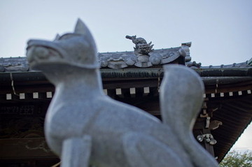 DSC04291