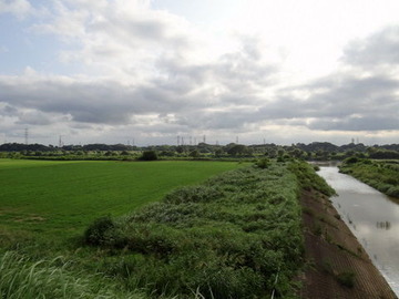 DSC00178