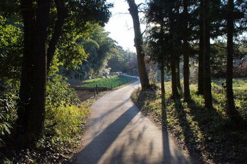 DSC05013