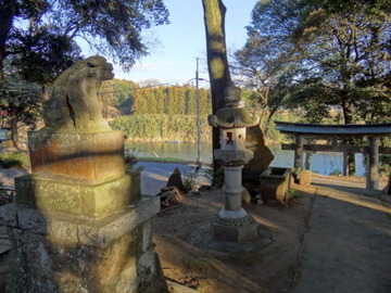 DSC01262