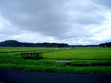 雨と晴れ