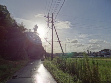 DSC00313