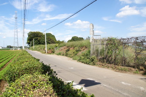 7195acdd-s.jpg