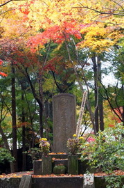 DSC00640