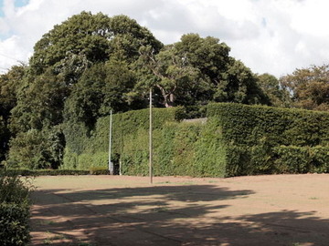 P9163277