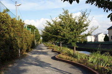 DSC04297