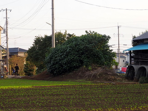 PA192910