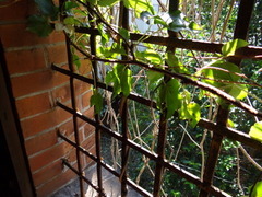 DSC00508-1