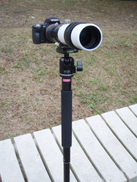 PB050007