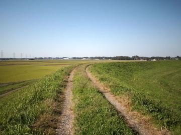 PA213818