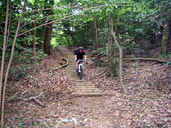 MTB