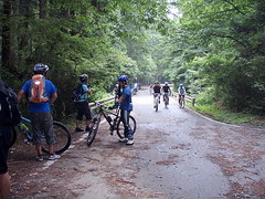 MTB