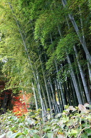 DSC00629