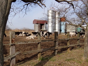 DSC01316