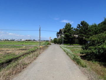 DSC00378