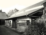 窪田3