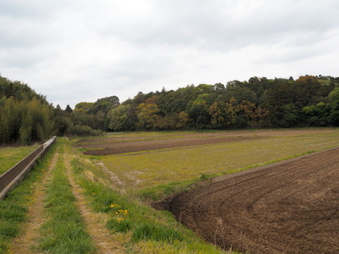 P4200394