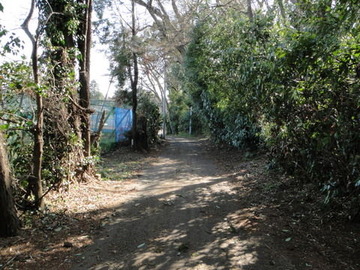 DSC03204