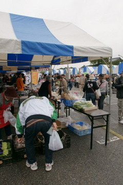 DSC04144B