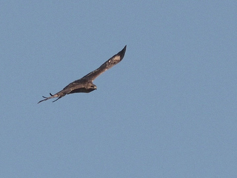 PA213842-3