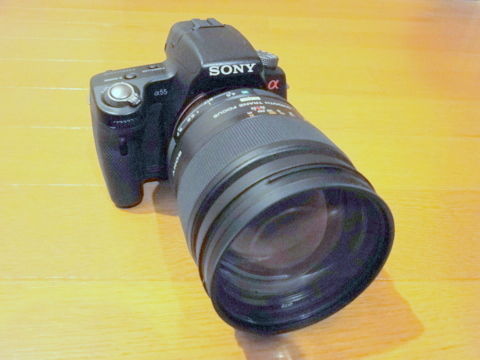 DSC03813