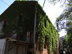 DSC00453