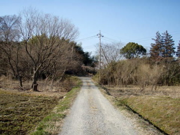 P3130018