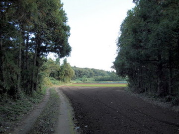 PA273901