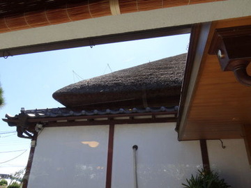 DSC00371
