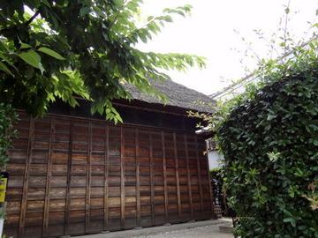 DSC03025